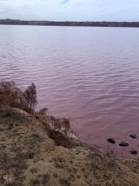 Очень калорийная и разносторонняя получилась у нас экскурсия с гидом Рауфом. Узнали много нового о культуре