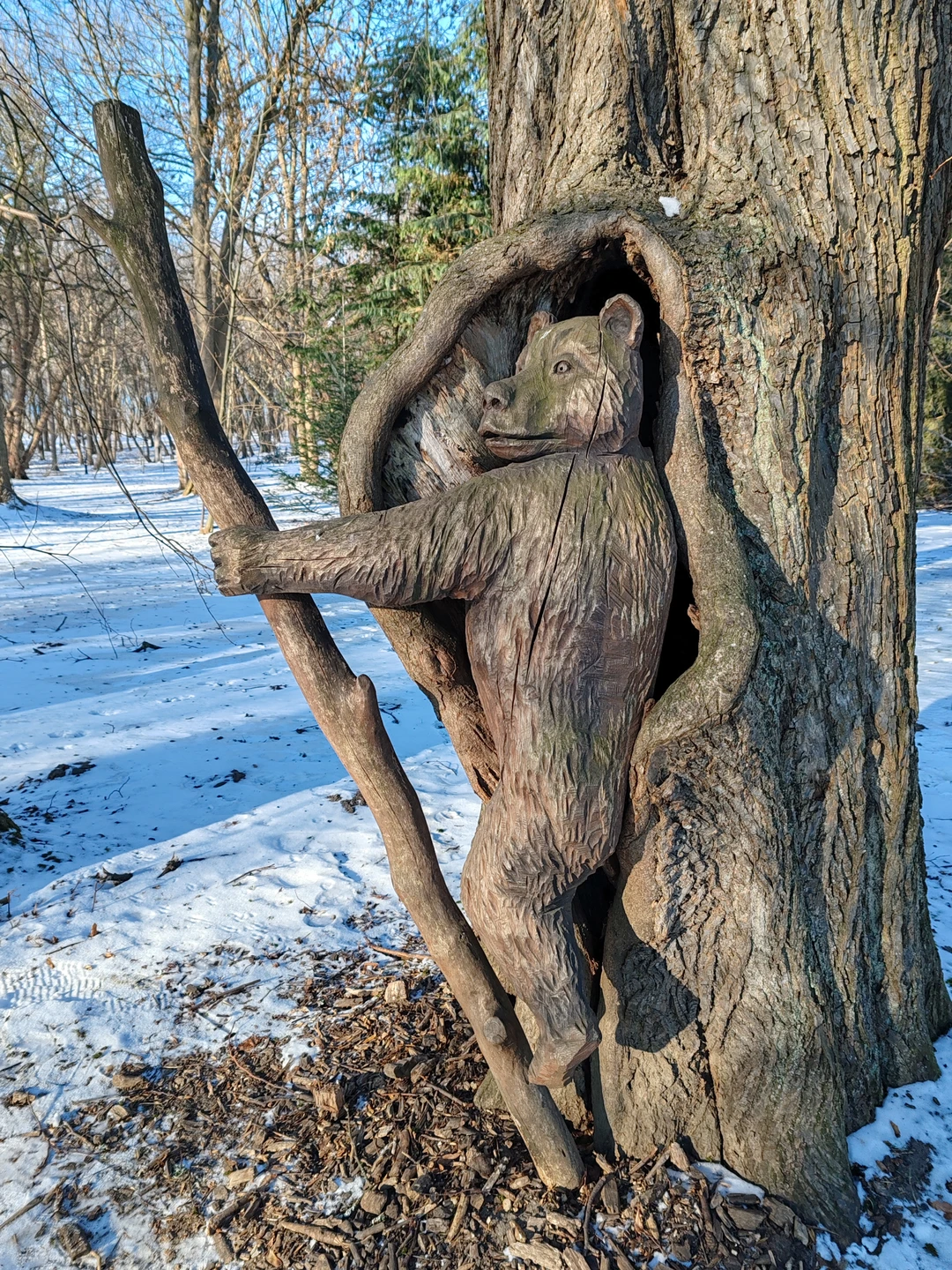 Были на экскурсии больше 8 часов) Антон замечательный рассказчик) экскурсия пролетела незаметно) как то тепло) хотя