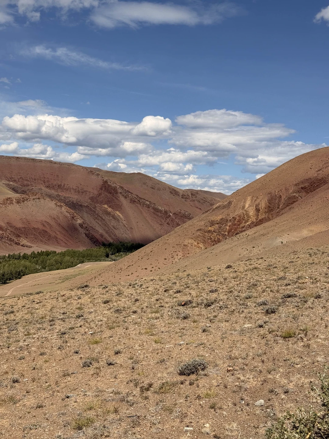 Волшебный Алтай: на джипах и пешком по предгорьям и склонам (Алина)