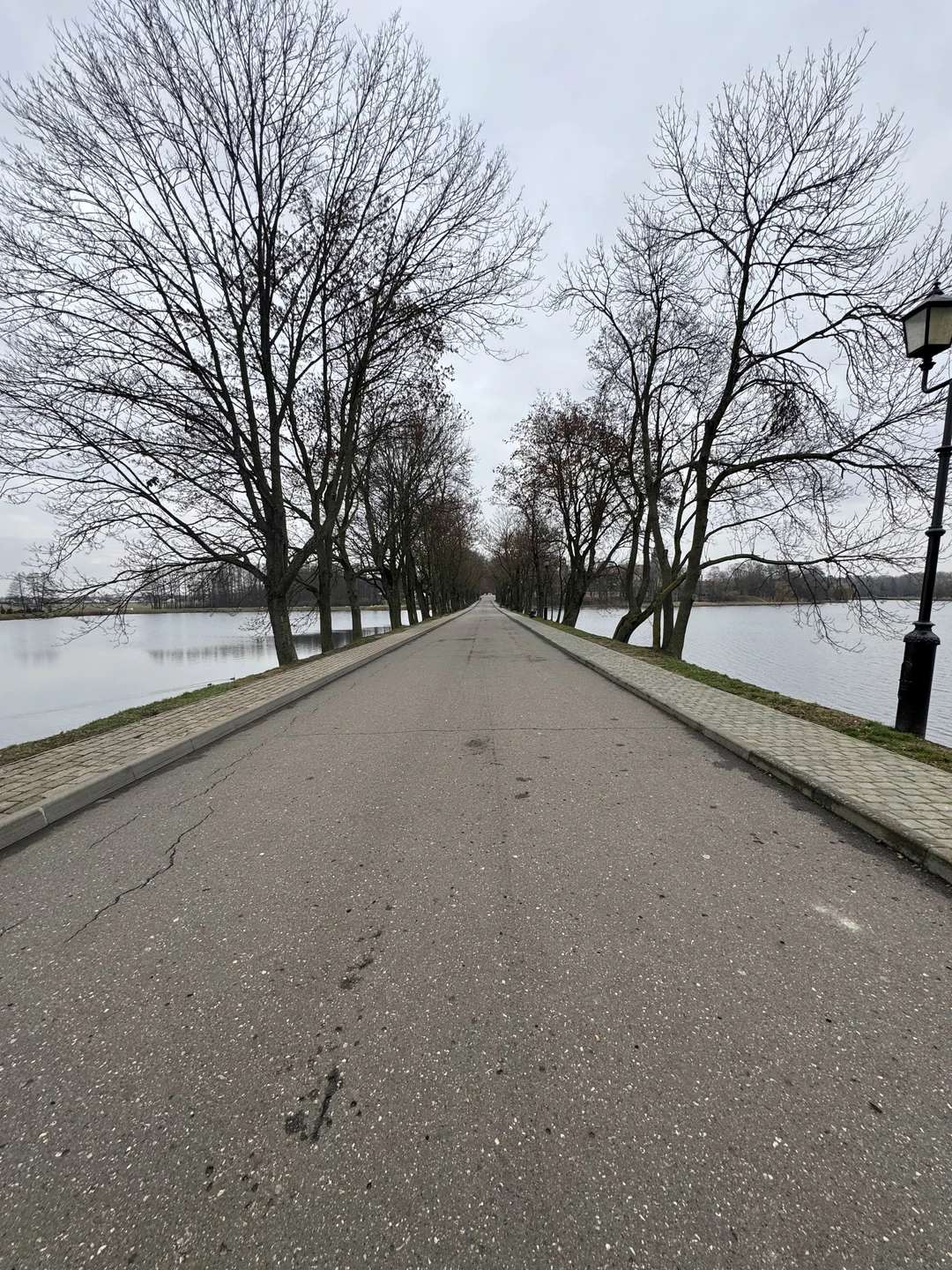 Отличная экскурсия. Все понятно. Доступно. Удобный большой автобус. Обед за 25 руб выше всяких похвал. Однозначно