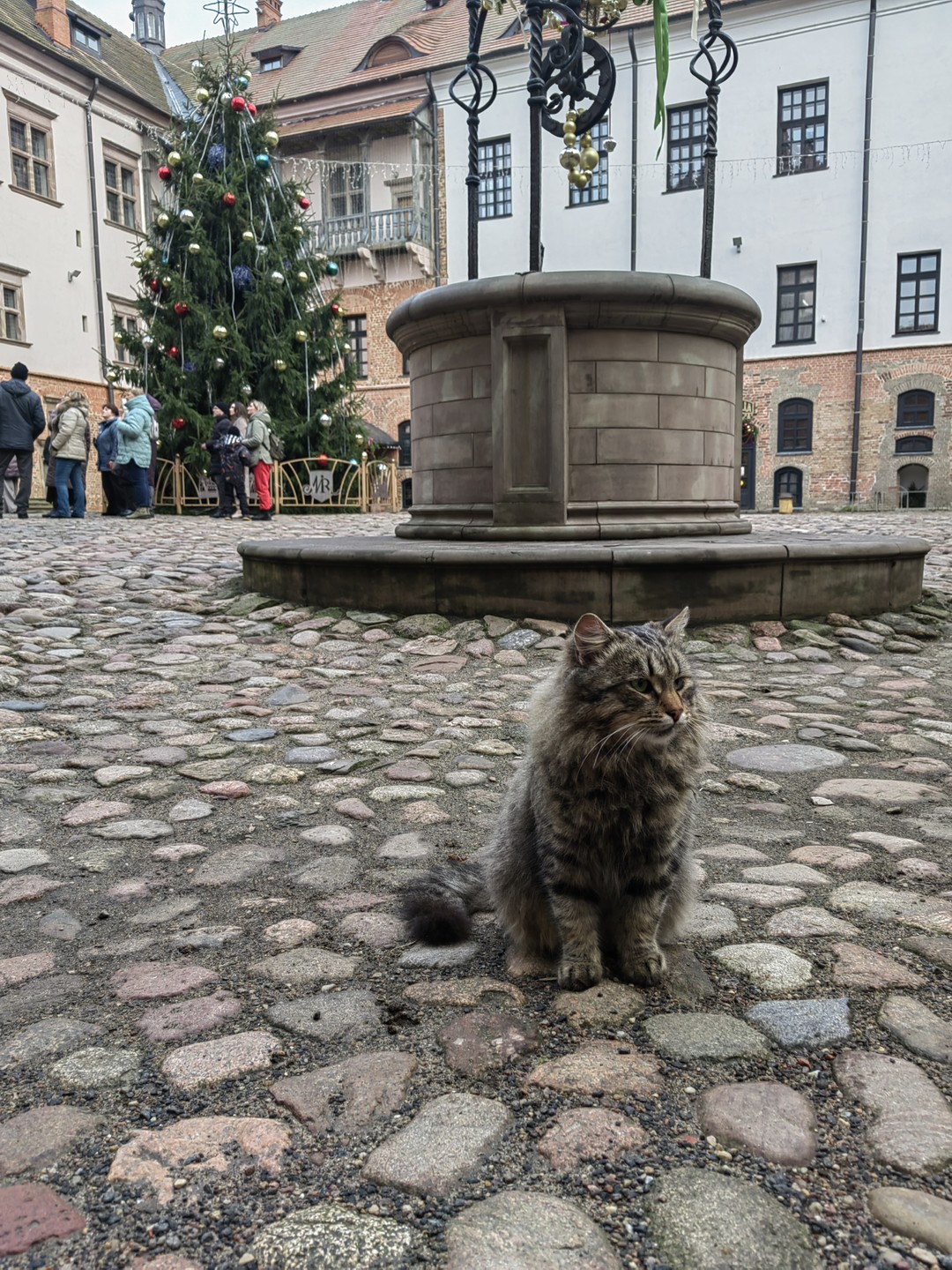 Замки Беларуси: групповая экскурсия в Мир и Несвиж из Минска (Евгений)