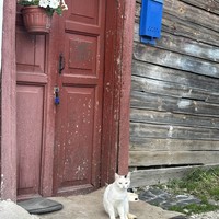 Фото отзыва 1: экскурсия "Обаяние суздальской самобытности"