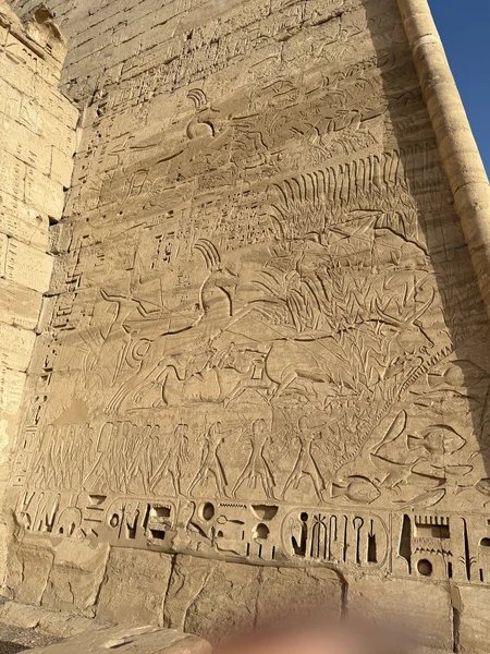 Очень понравилась экскурсия в Люксоре