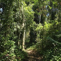 Фото отзыва 2: экскурсия "Затерянный Пхукет: треккинг по тропическим джунглям"