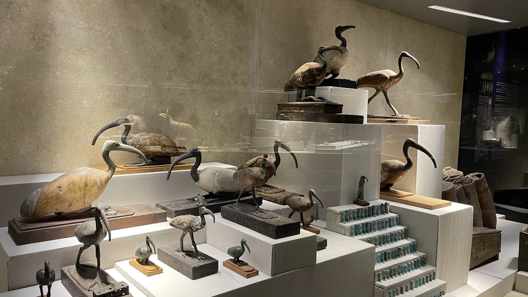 Замечательная экскурсия!