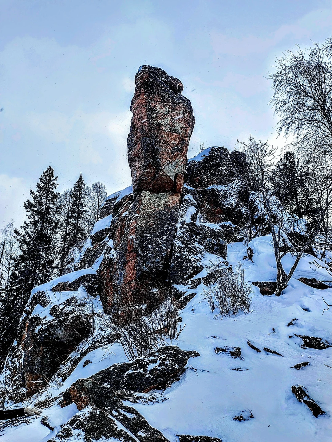 Мой день 7 января 2026г