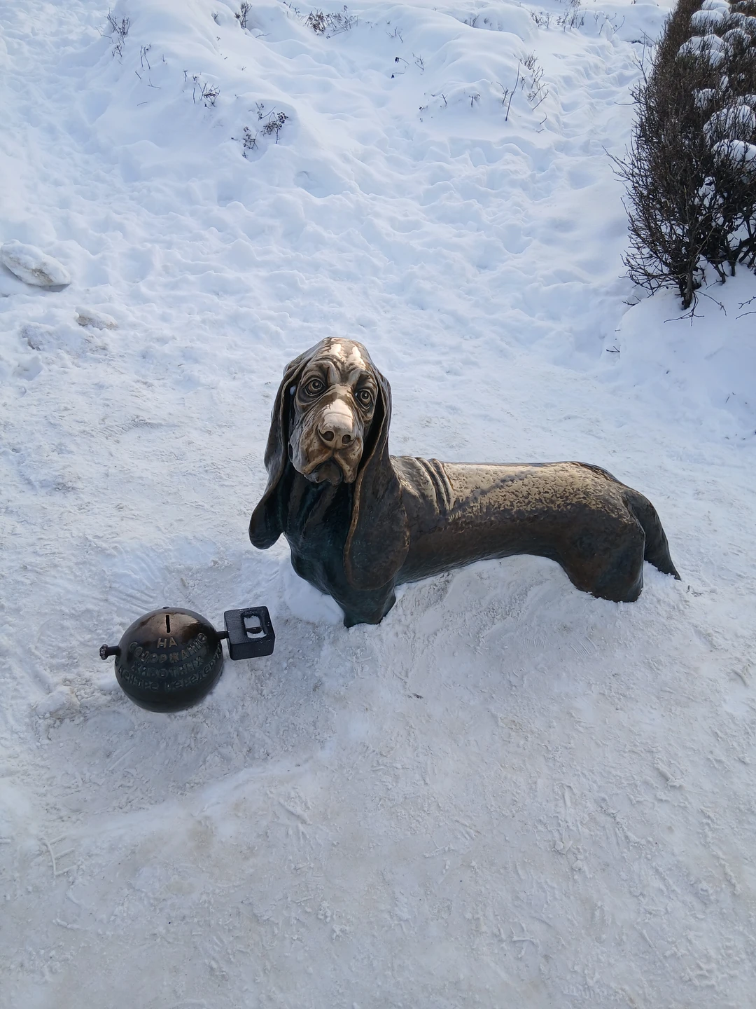 Очень понравилось