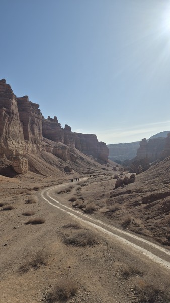 Ездили с мужем в поездку 21.03.2026г. «Все включено: магия чёрного и чарынского каньонов, экзотика озер Кольсай и Каинды" с гидом-водителем Дмитрием