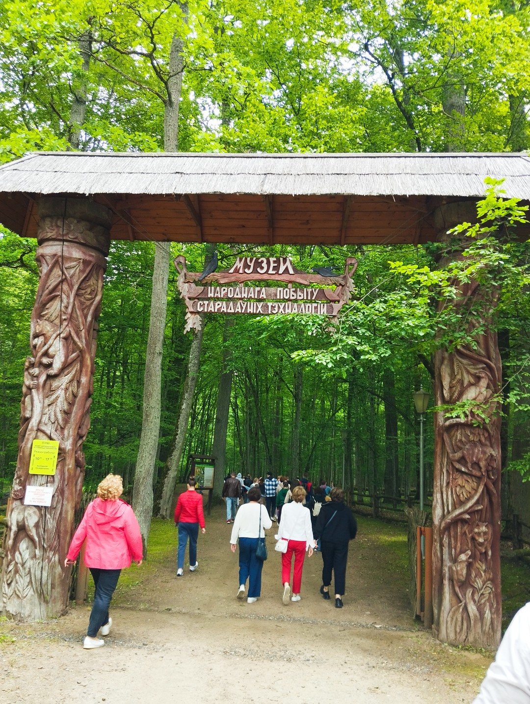 Беловежская пуща по выходным и праздникам (Наталья)