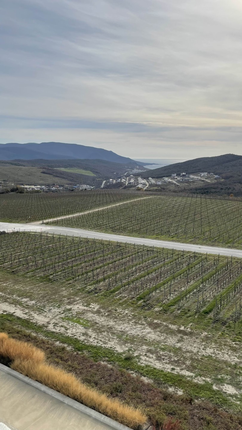 Ездили с Владимиром по винодельням. Очень здорово были выбраны места - красивые, живописные. Владимир аккуратный водитель