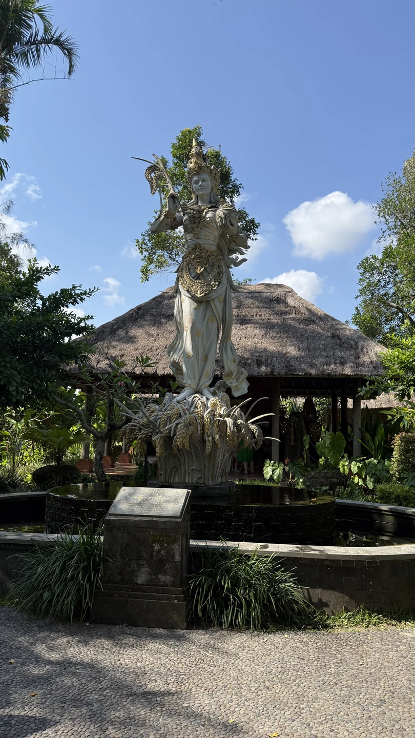 Влюбиться в волшебный Бали за 1 день (Екатерина)