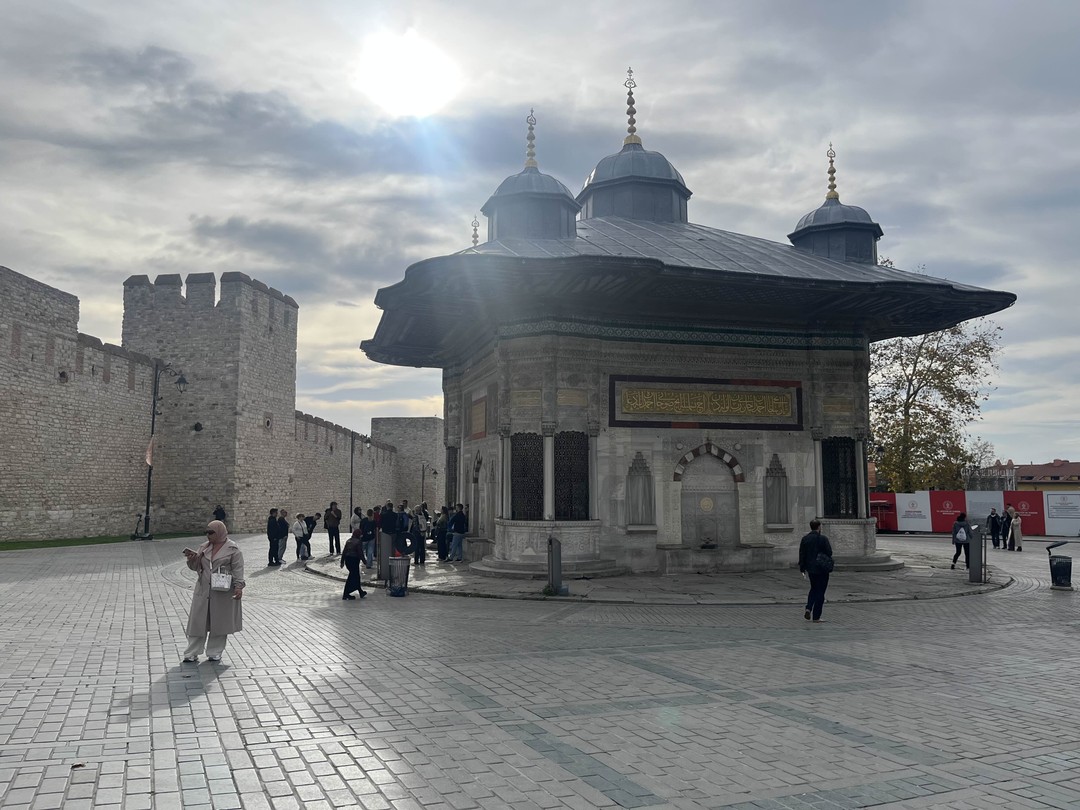 Замечательная экскурсия с опытным гидом Адэмом. Подходит для первого дня в Стамбуле для знакомства с основными