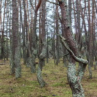 Фото отзыва 2: экскурсия "Виллы, форт, коса, курорт... и замок!"