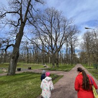 Фото отзыва 2: экскурсия "Прогулка по Гатчине: изумительные парки и Старый город"