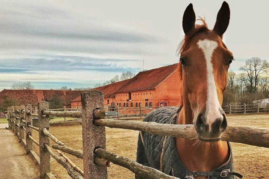 Фото 2 - Экскурсия: "«Территория Надровии»: рыцарские замки"