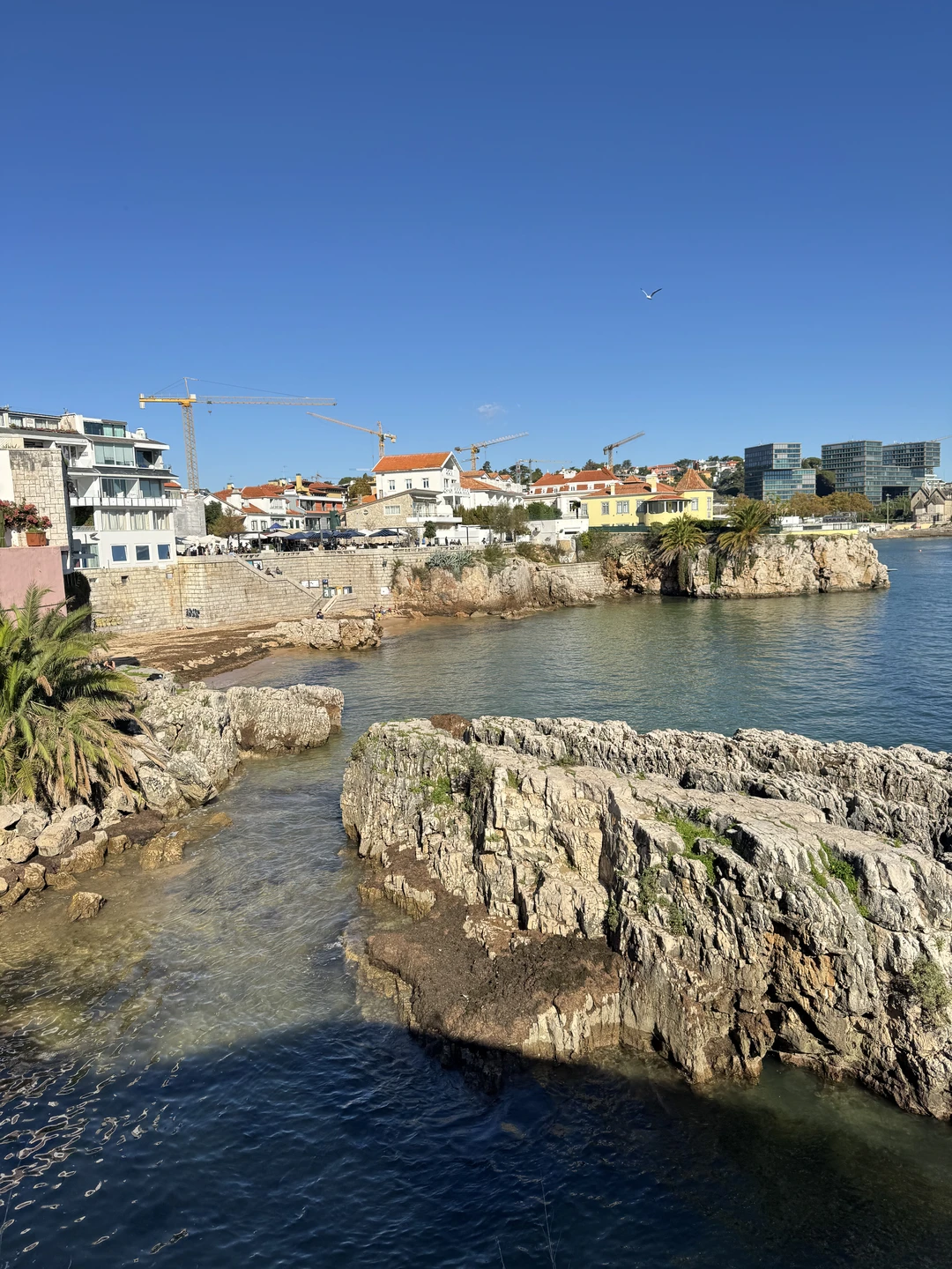 Огромное спасибо Елене за прекрасно организованную и проведенную экскурсию! Узнали много нового и интересного о Португалии!