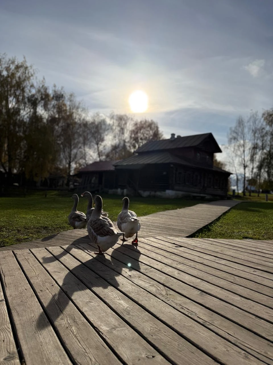 Мария, провела замечательную экскурсию по музею "Деревянного зодчества", где мы получили много новой и интересной информации