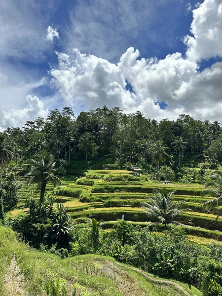 Прекрасно организованная экскурсия. Полная и насыщенная программа. Все четко по времени и без задержек. Осталась полностью