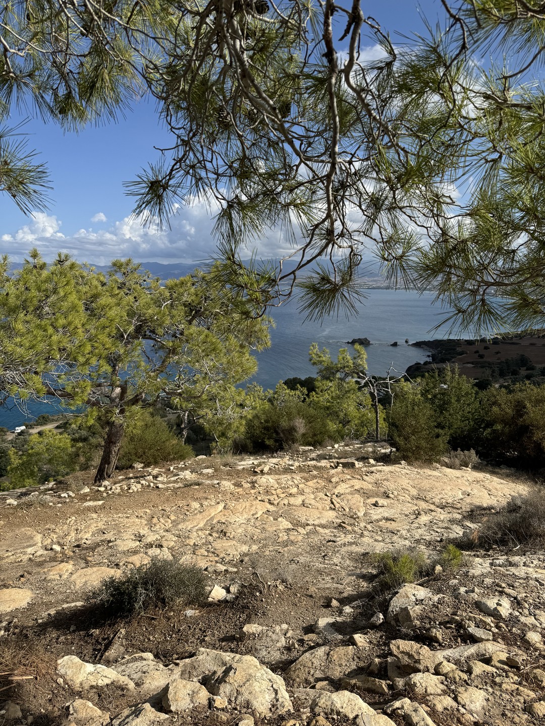 Провела отличный день на экскурсии по заповедному Кипру! У Татьяны очень приятная и красивая речь! С