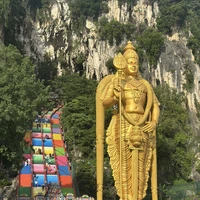 Фото отзыва 3: экскурсия "Из Куала-Лумпура — к дружелюбным лангурам и колониям светлячков"