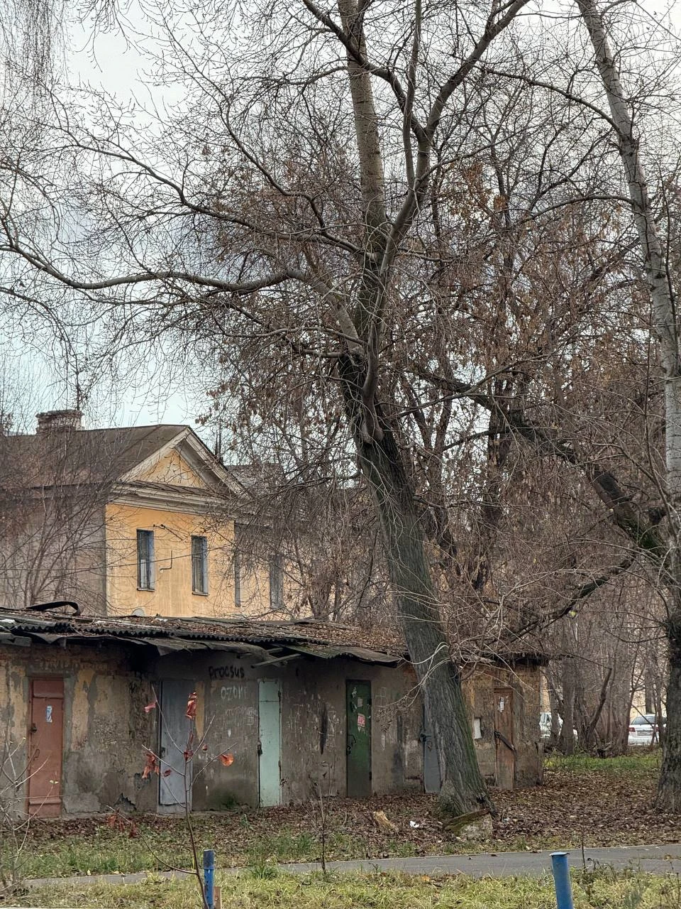 Марат вёл экскурсию. Просто восхитительное впечатление - лучший день всей поездки недельной. Интересно, увлекательно. Экскурсовод -