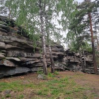 Фото отзыва 2: экскурсия "Уральский антистресс: по лесам — на «Ниве»!"
