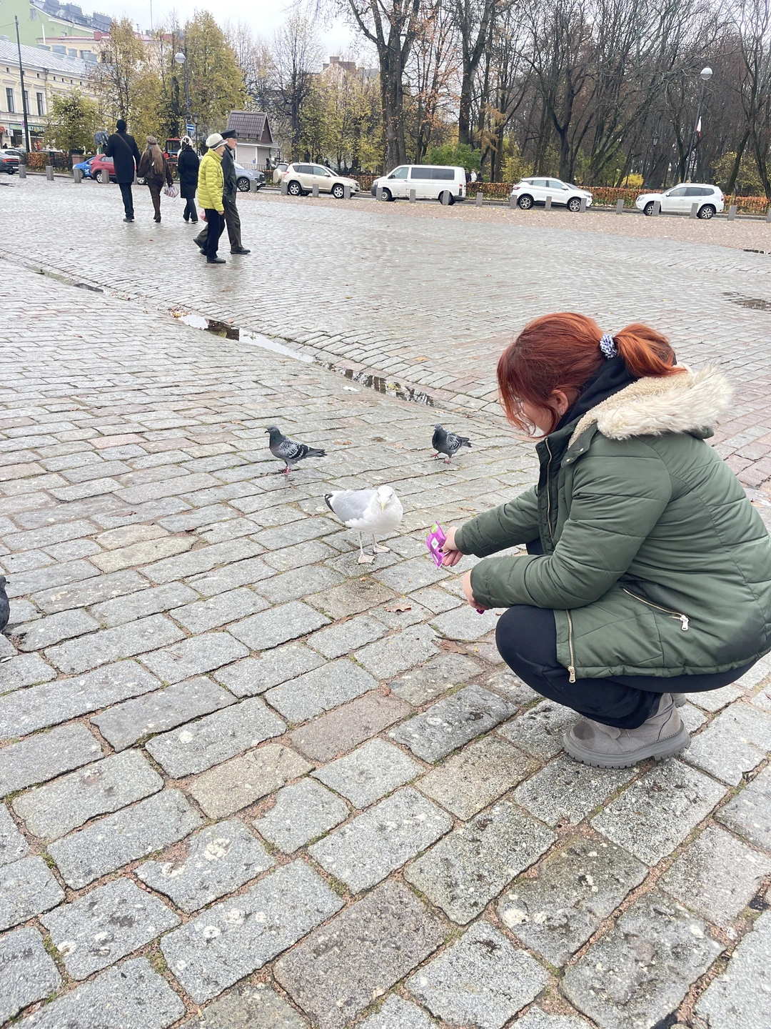 Однодневная экскурсия из Петербурга в Выборг на автобусе (Ольга)