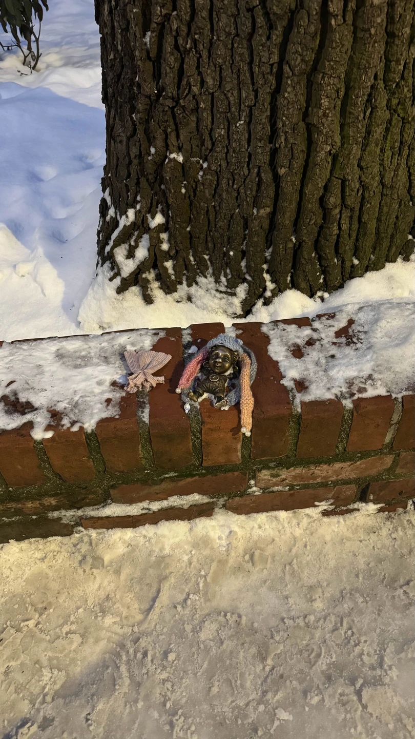 Авторская экскурсия по Амалиенау с его жителем (Диана)