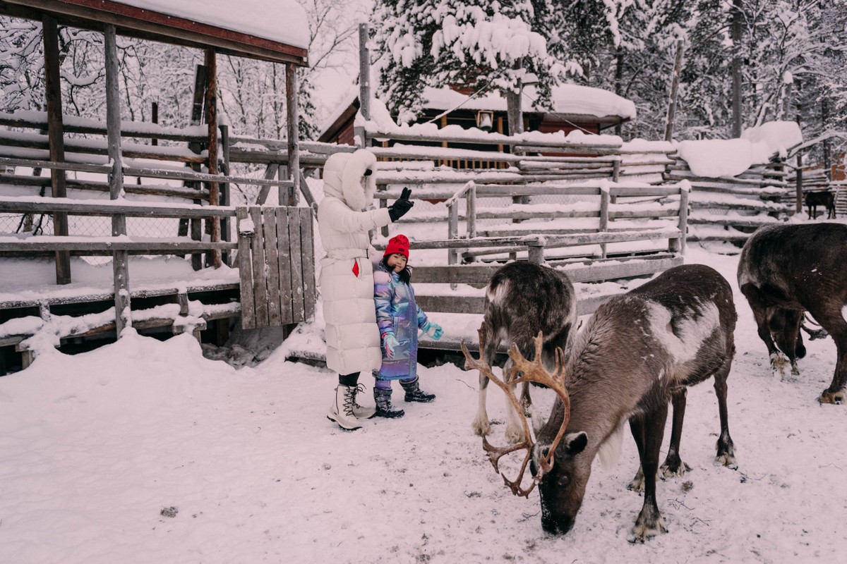 Фото Зов саамского бубна