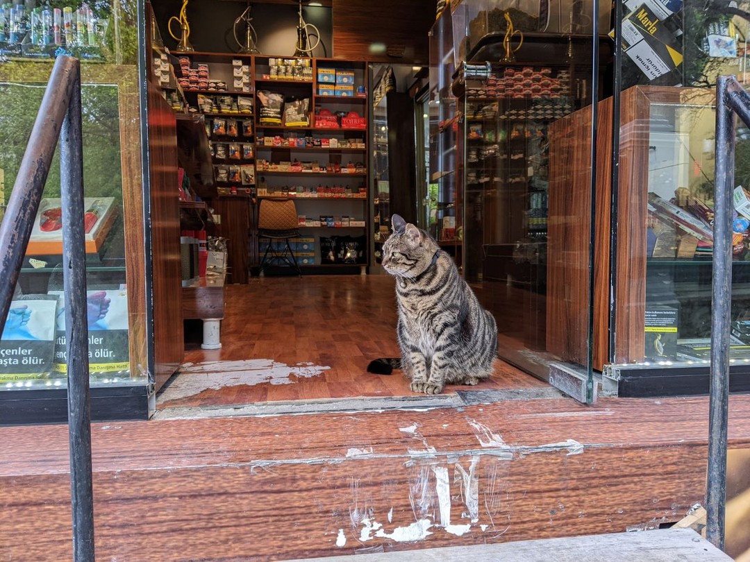 Прогулка-квест по самобытному Кадыкёю (Полина)