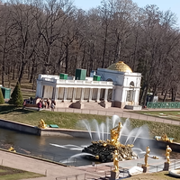 Фото отзыва 1: экскурсия "Экскурсия в Петергоф с посещением Большого дворца (билеты включены)"