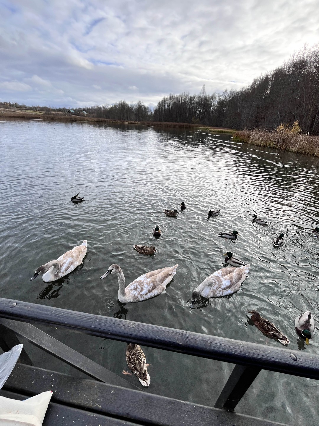 Старый Изборск и Печорский монастырь: из Пскова в небольшой группе (Алексей)