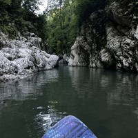 reviews img