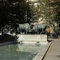 reviews img
