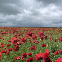 Фото отзыва 1: экскурсия "Из Кисловодска к соседям — 4 республики и 5 городов за день!"