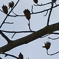 Фото отзыва 2: экскурсия "По Краснодару и парку Галицкого (пешком и на машине)"