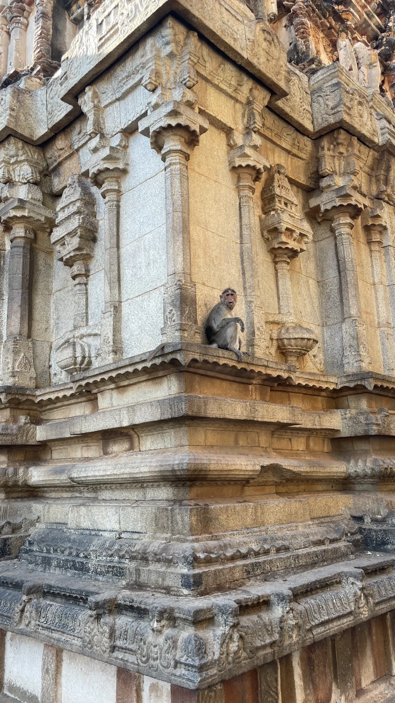 Все понравилось)Водитель который у нас был на белой тойоте очень учтивый и доброжелательный ему прям отдельный