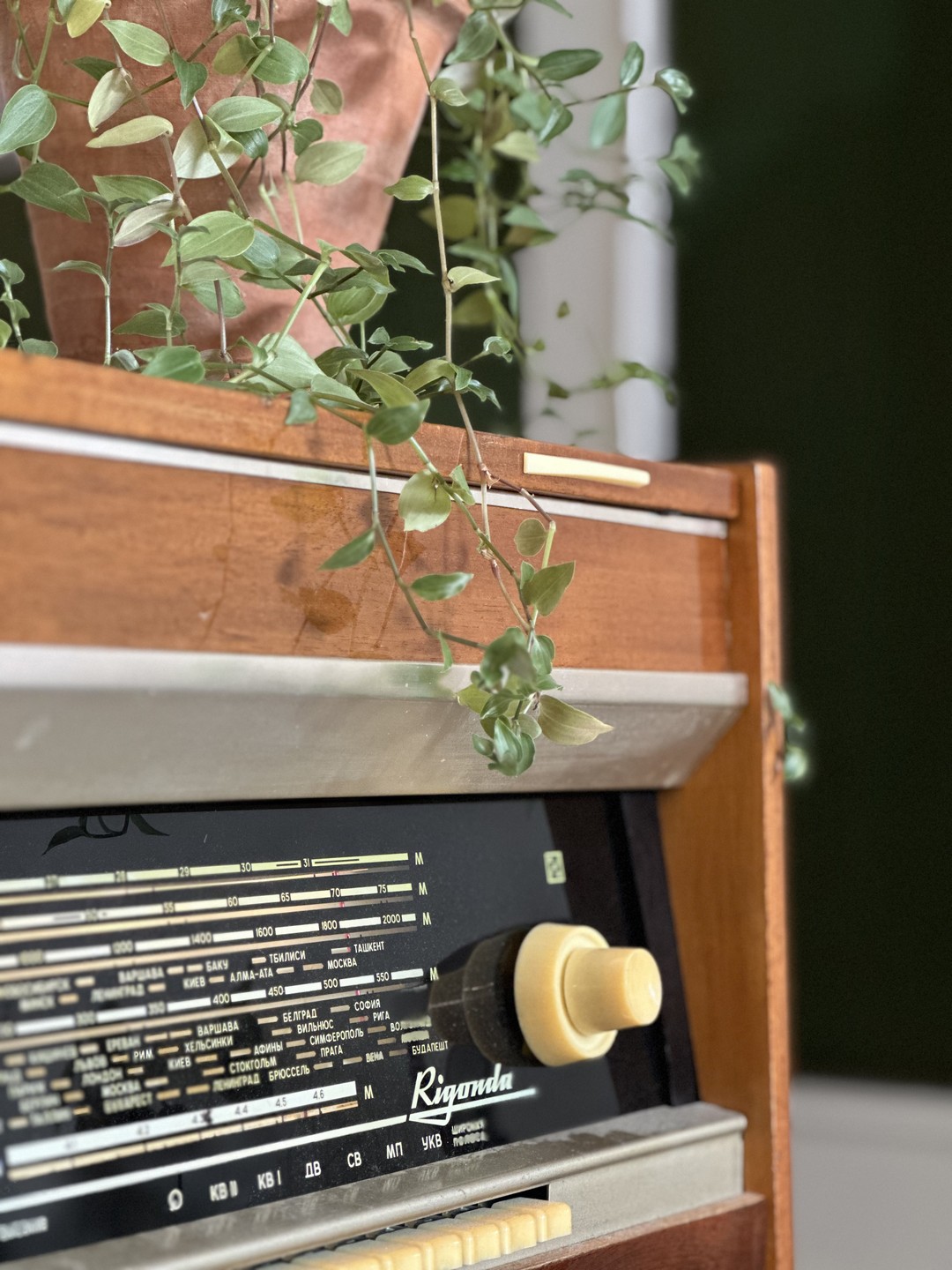 Побродили с Дианой по фэшн-точкам Санкт-Петербурга…. Был и эпатаж, и спорт, и casual, и а-ля-натур… Мое