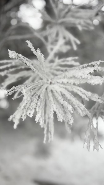 отличная экскурсия, Динара очень много знает, рассказчик отличный. погуляли, посмеялись, поговорили о серьезном, на все вопросы отвечала