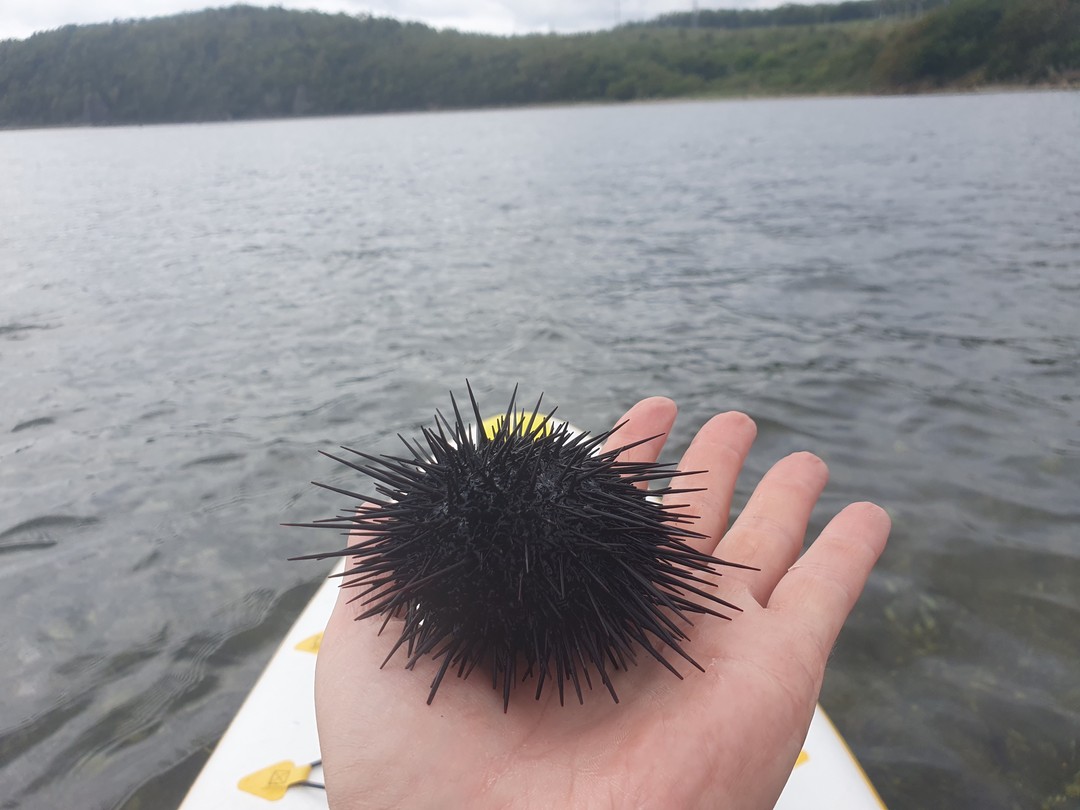 Это самая удобная и приятная поездка с прогулкой по воде. Меня забрали из центра города и