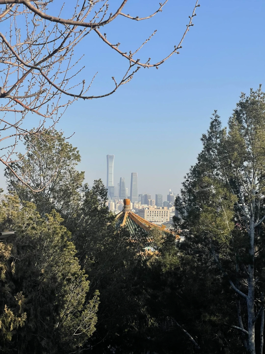 Одна из лучших экскурсий в моей жизни! Очень легко и интересно пролетело время! Вэйцзя прекрасно знает