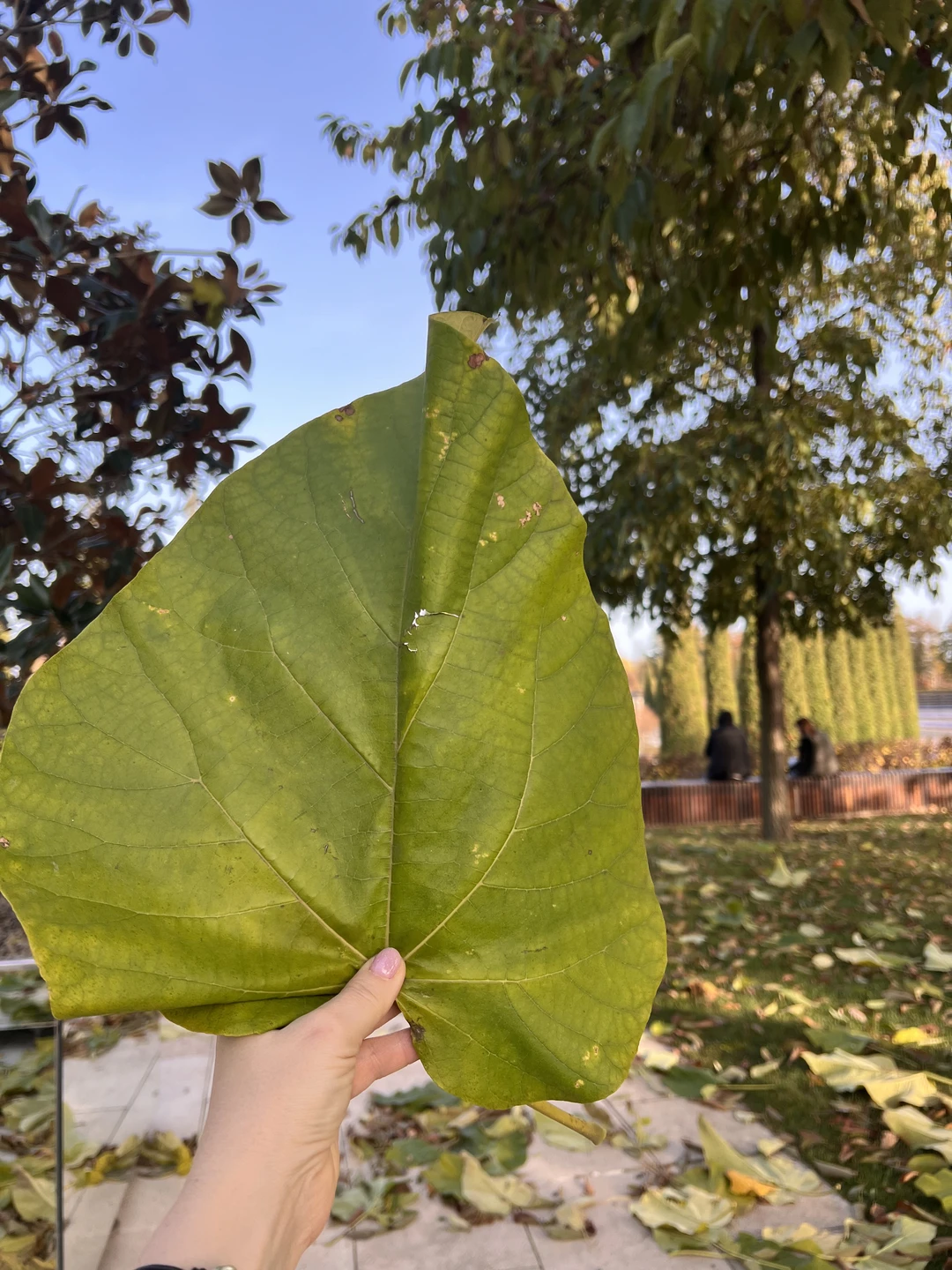 Была на экскурсии 17 ноября!