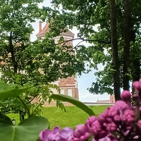 Фото отзыва 4: экскурсия "Групповая экскурсия в&nbsp;замки Мир и&nbsp;Несвиж (обед включен)"