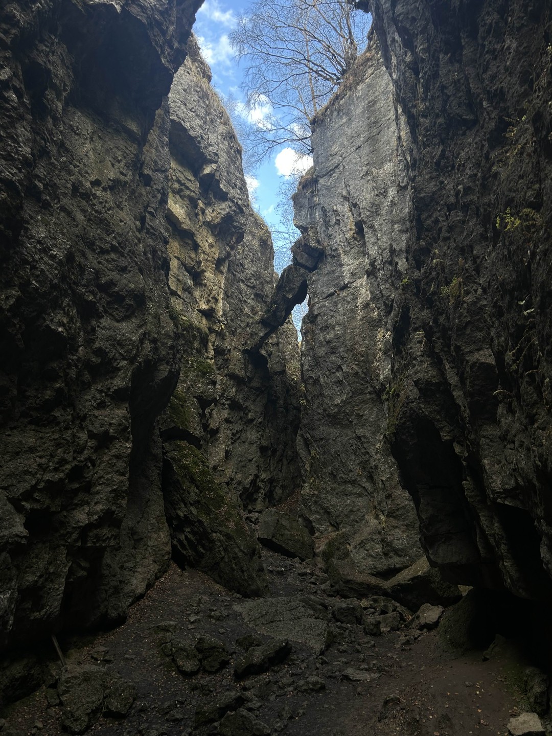 Были на экскурсии 15.10