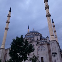 reviews img