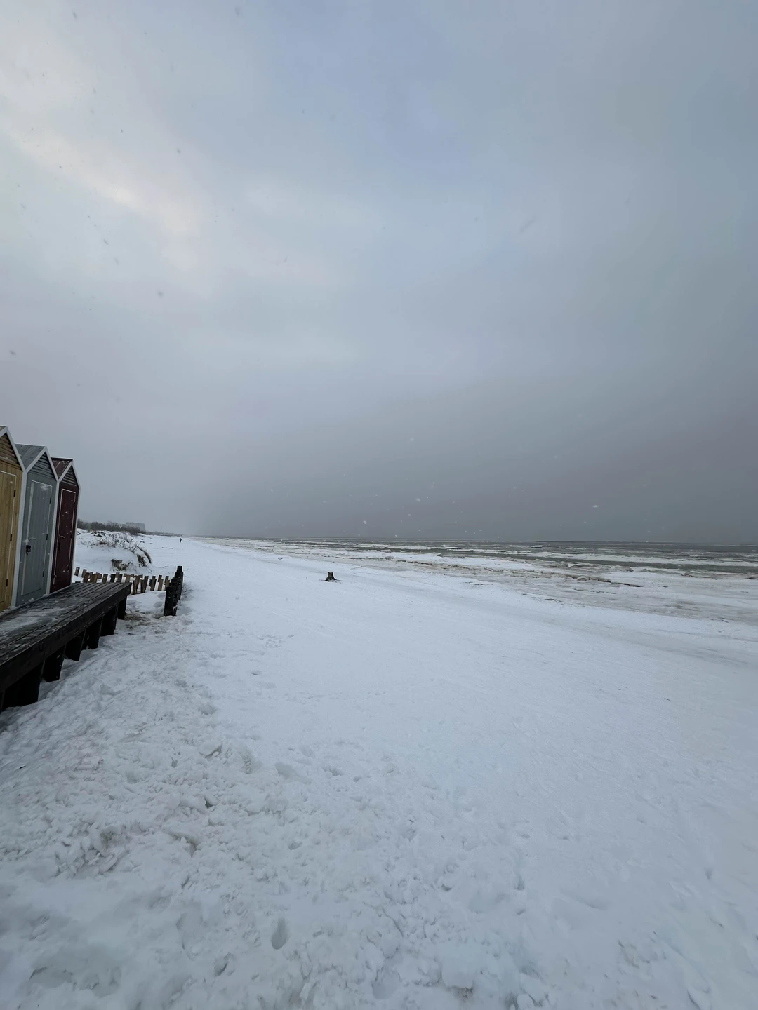Прекрасная поездка с интересной беседой