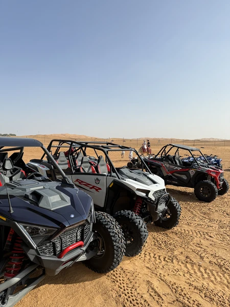 Сафари в Дубае: магия заката в пустыне без кемпов и шоу-программ (Даша)