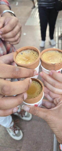 Дели за 1 день. У нас был транзитный рейс и мы решили взять экскурсию. Наш гид