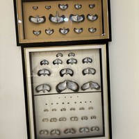 Фото отзыва 3: экскурсия "Обзорная экскурсия по Санье: всё самое интересное за один день"