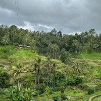 Фото отзыва 3: экскурсия ""